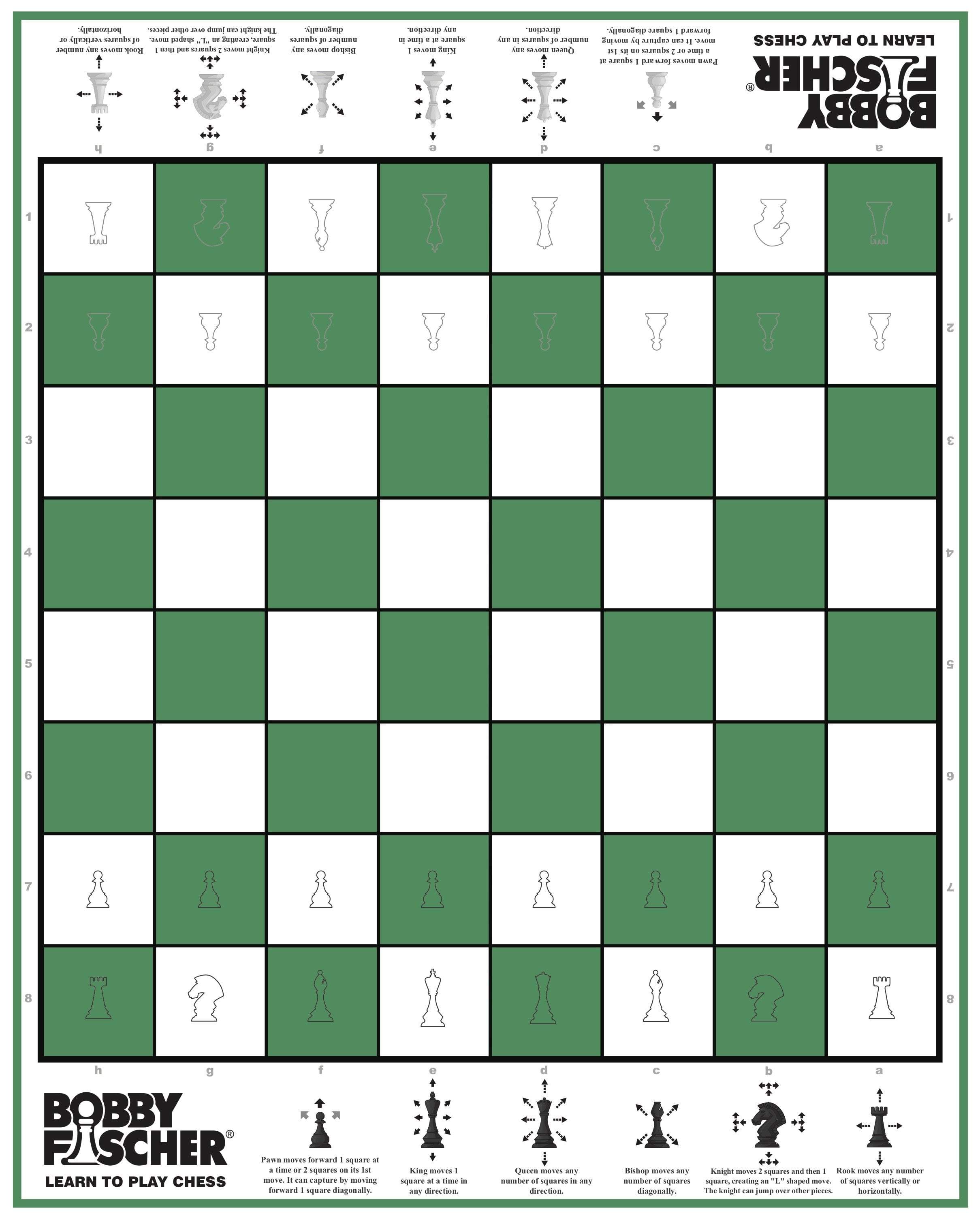 15" Collector's Teacher Chess Set - Chess Set - Chess-House