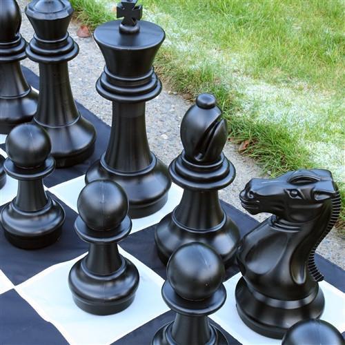 Medium Chess Board with Pieces