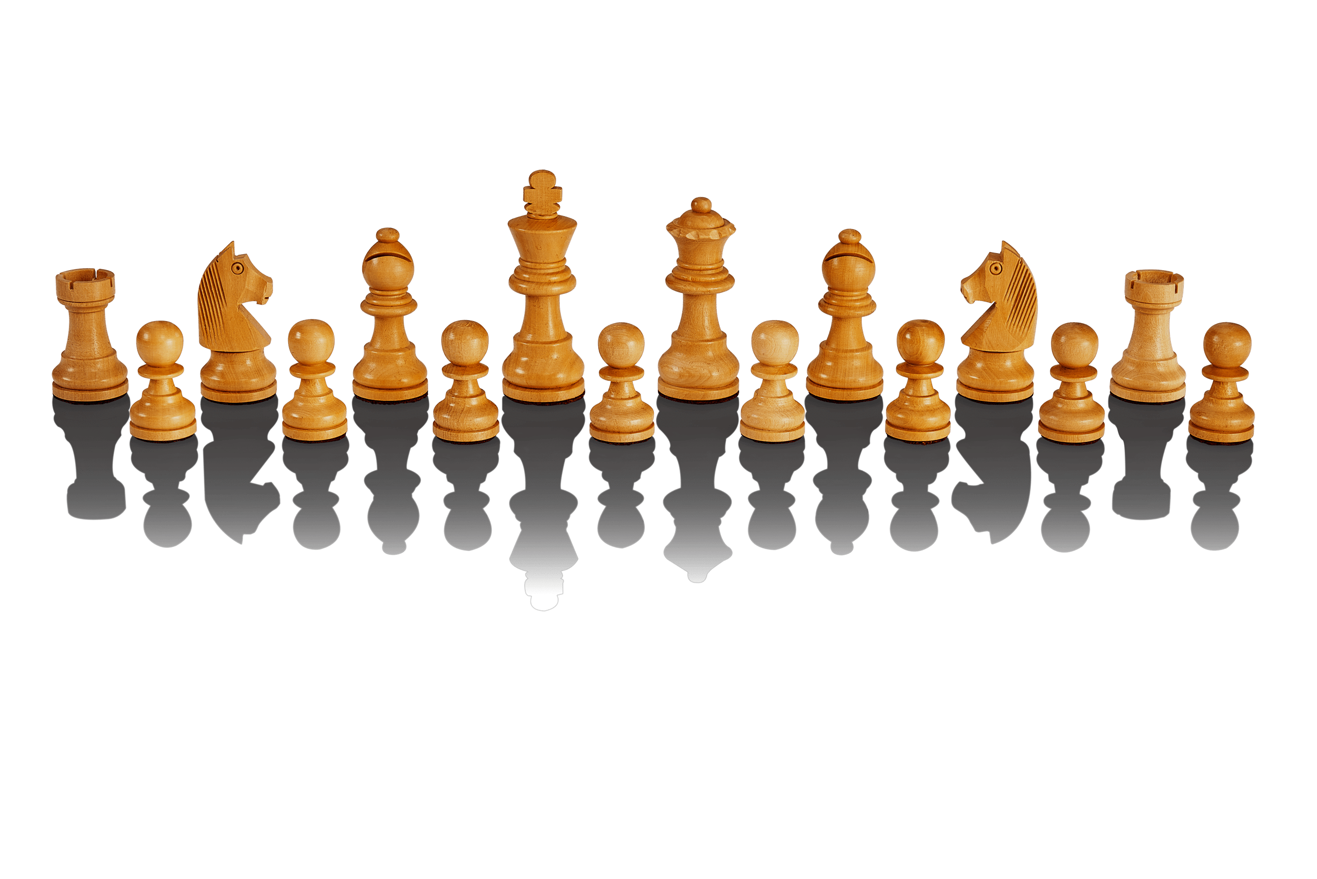 OPEN BOX DEAL ITEM: Millennium Chess Computer - The King Performance