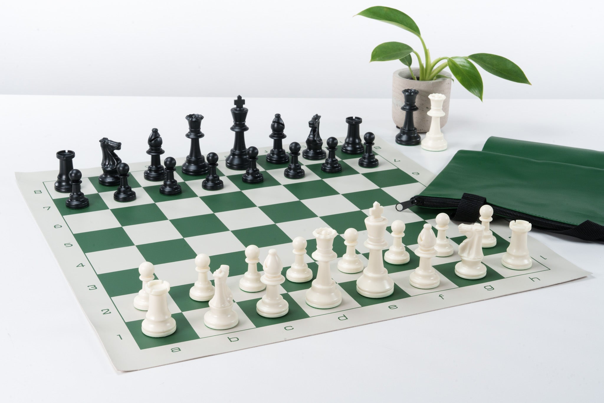 What is the difference between the chess4life and the beginner or starter set (besides the price) I have both in?