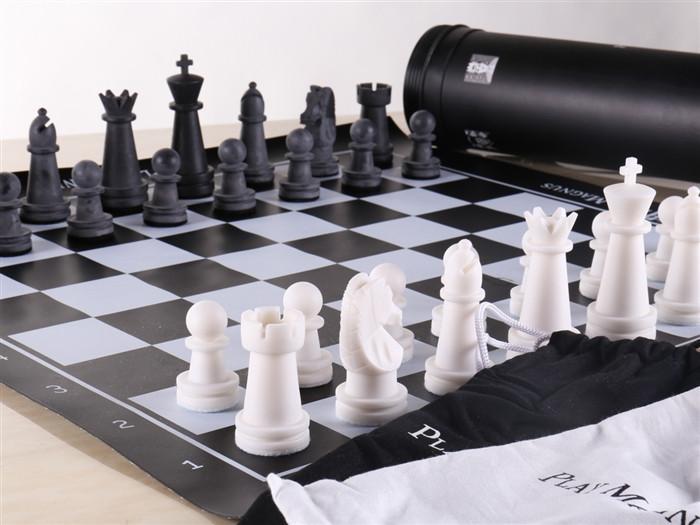 The Play Magnus Educational Chess Set Questions & Answers