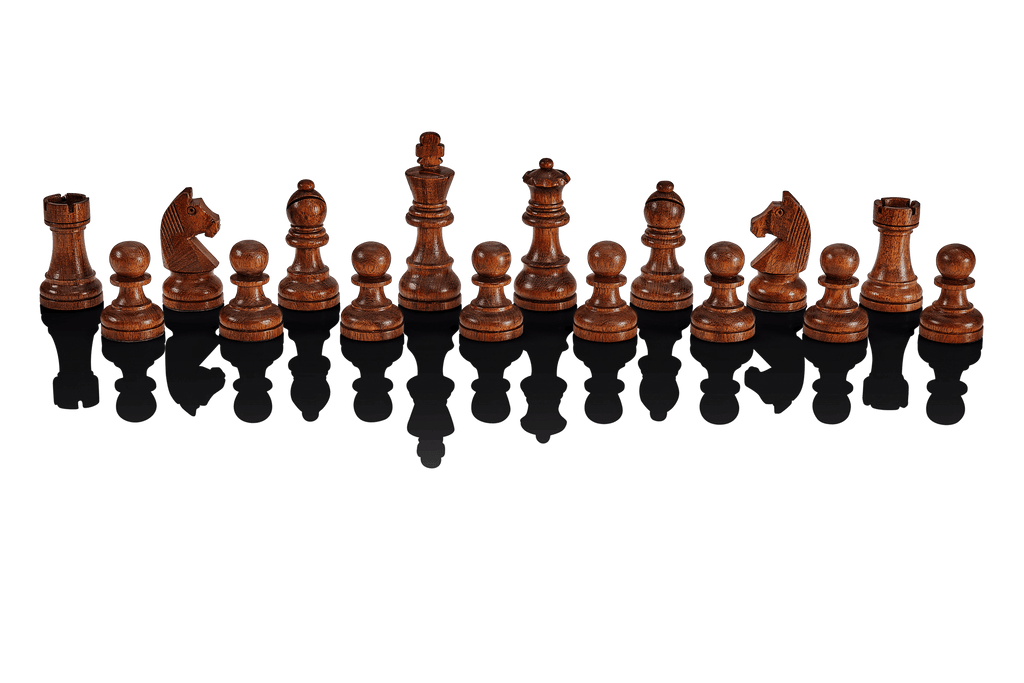 The Millennium ChessGenius Pro Chess Computer