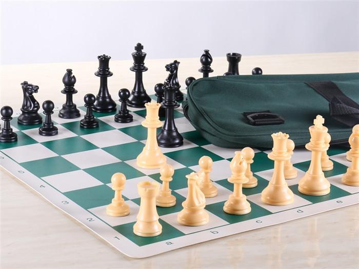 Quality Regulation Tournament Chess Set Combo